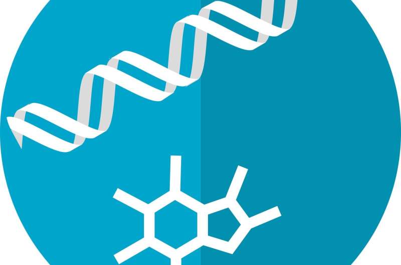 Identification of disease-causing proteins leads to new potential treatments for diseases like diabetes