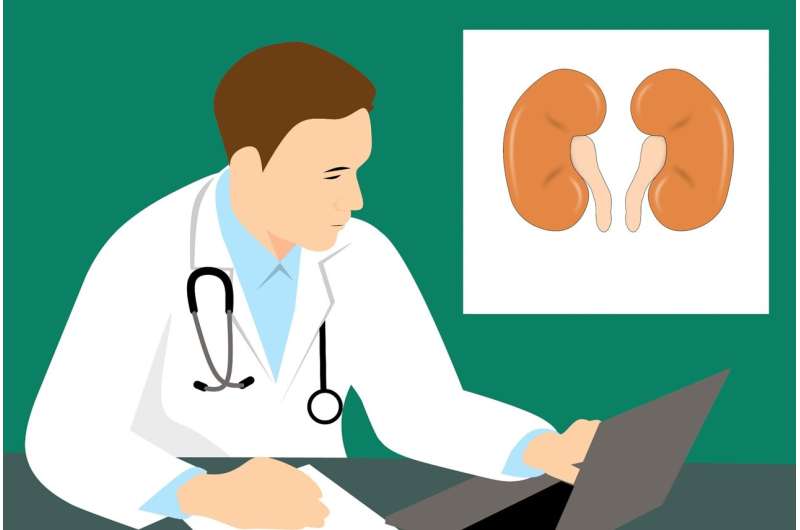 Metabolism may be key to future treatment of kidney diseases