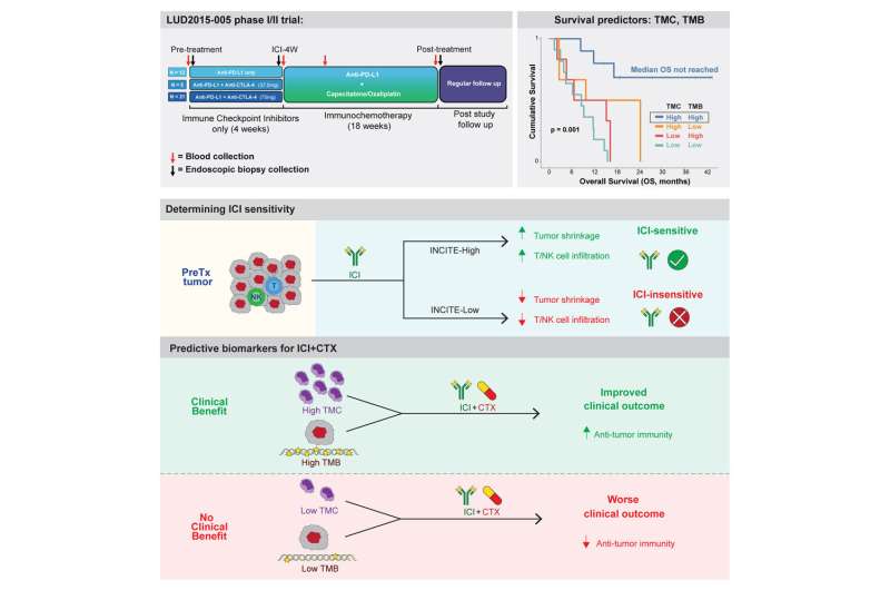 Tumor monocyte content predicts immunochemotherapy outcomes for esophageal cancer