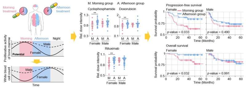 Chemotherapy in the afternoon dramatically improves treatment outcomes in female lymphoma patients