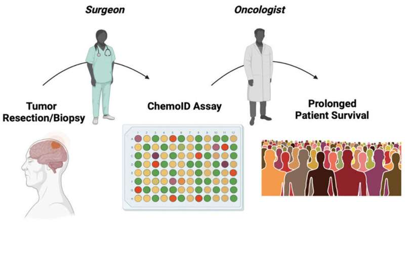 Study: ChemoID platform-predicted treatments lead to longer survival for glioblastoma patients