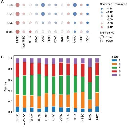 Researchers identify a potential new target for head and neck cancer immunotherapy