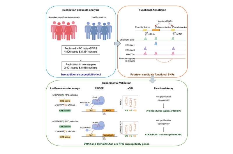 Cis-regulatory sequences indicative of nasopharyngeal carcinoma risk identified