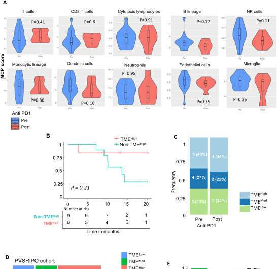 Researchers discover new brain tumour subtypes that may identify treatment for incurable brain cancer