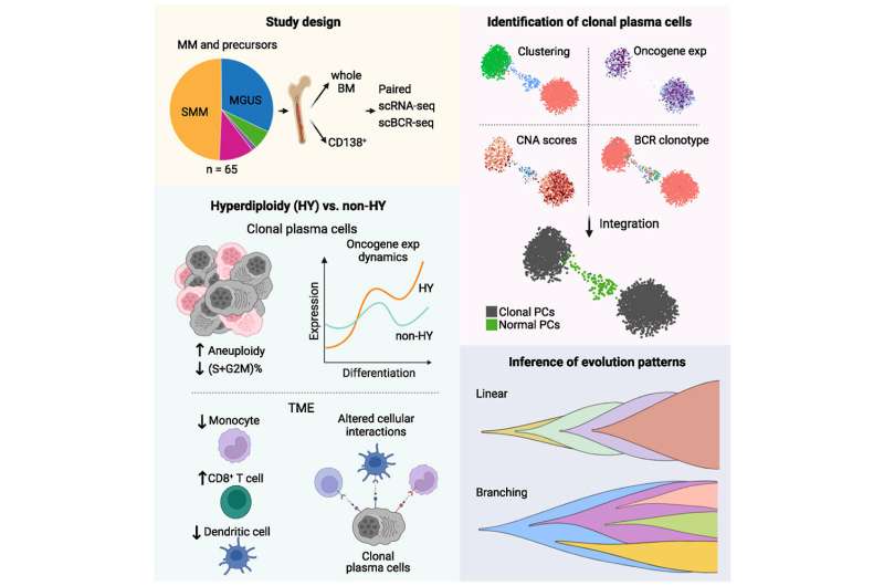 Study brings new understanding of multiple myeloma evolution