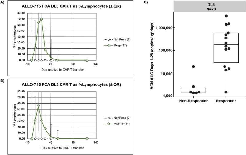 Using donor CAR T cells shows promise in treating myeloma patients in phase I trial