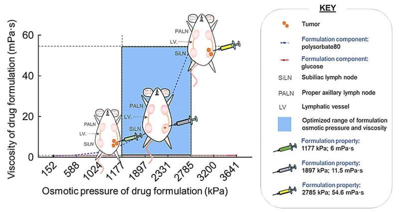 Researchers identify drug characteristics making cancer metastasis therapy more effective