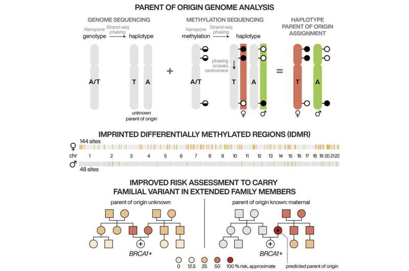 Researchers develop an improved hereditary cancer test