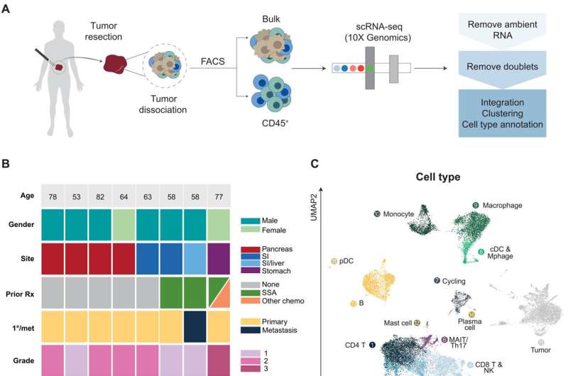 Study provides new look at why rare cancer often evades treatments