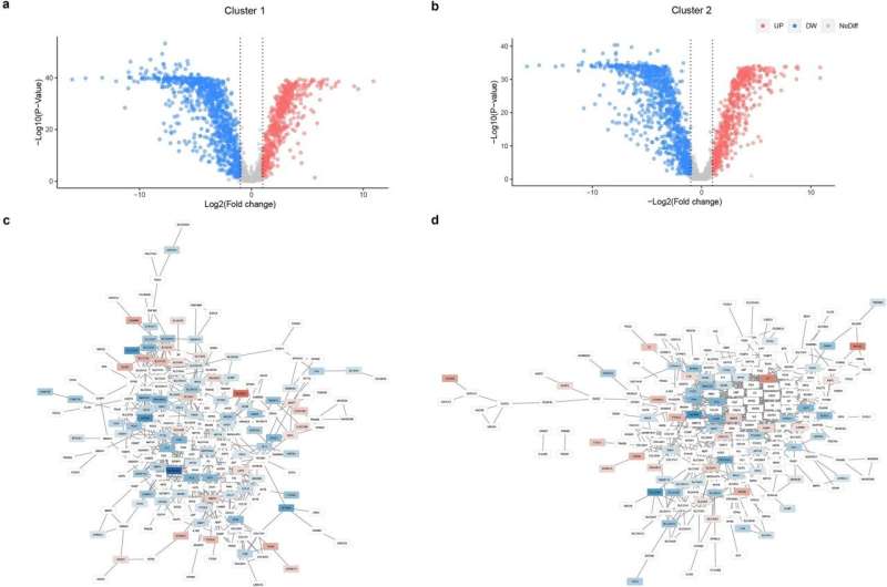 Research finds genes associated with most aggressive kidney cancer