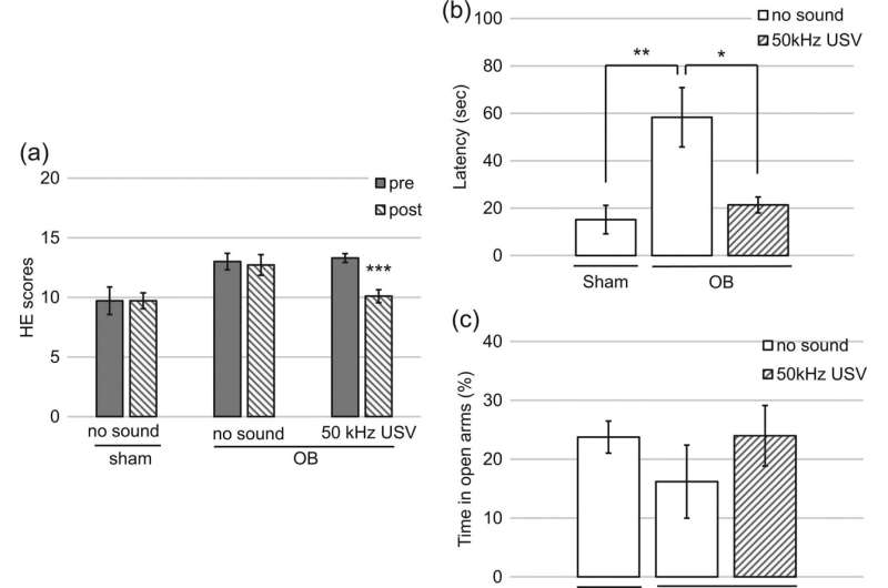 Ultrasound exposure improves depressive behavior in rodents