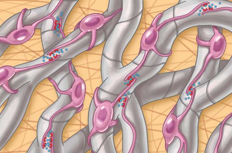 Potential new targets identified in advanced non-alcoholic fatty liver disease