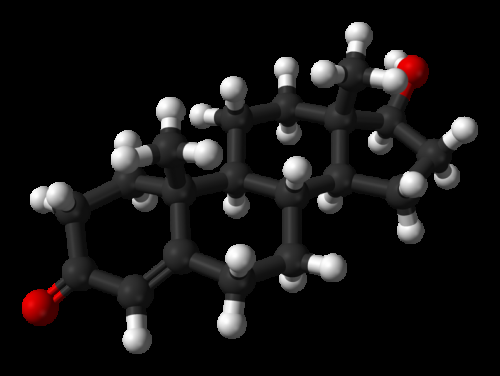 testosterone