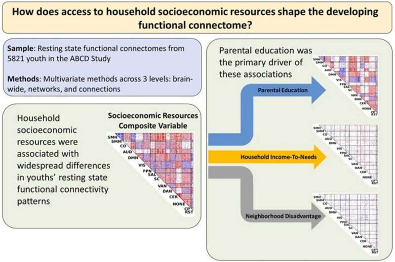 Inequality linked to differences in kids' brain connections