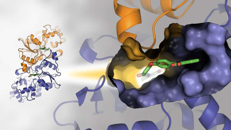 Indirectly influencing cancer's out-of-control cell replication