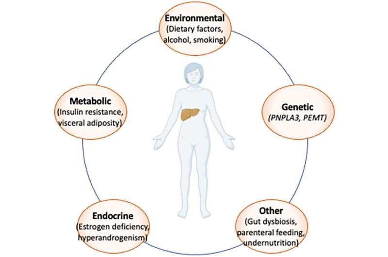 Scientific review suggests even normal-weight individuals are susceptible to severe fatty liver disease