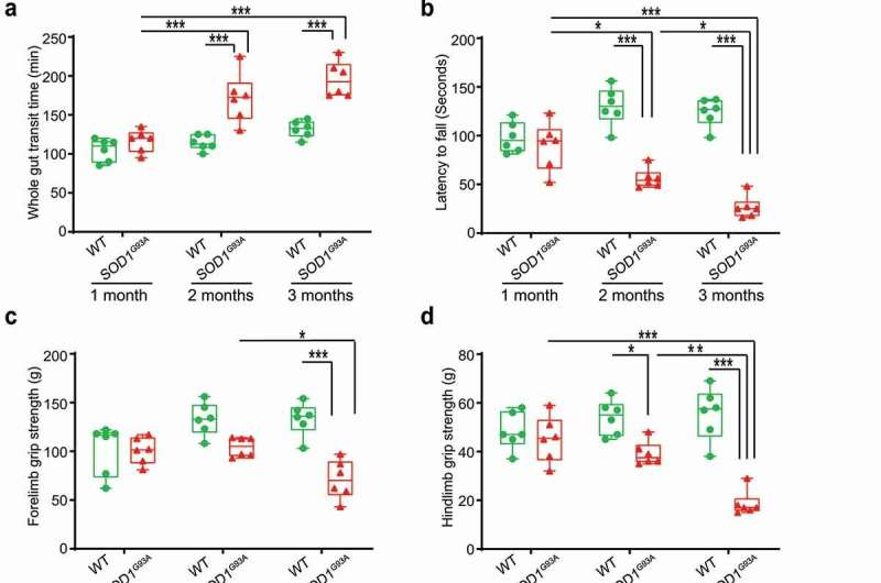 Could there be a link between the enteric neurons, gut microbiome and ALS? 