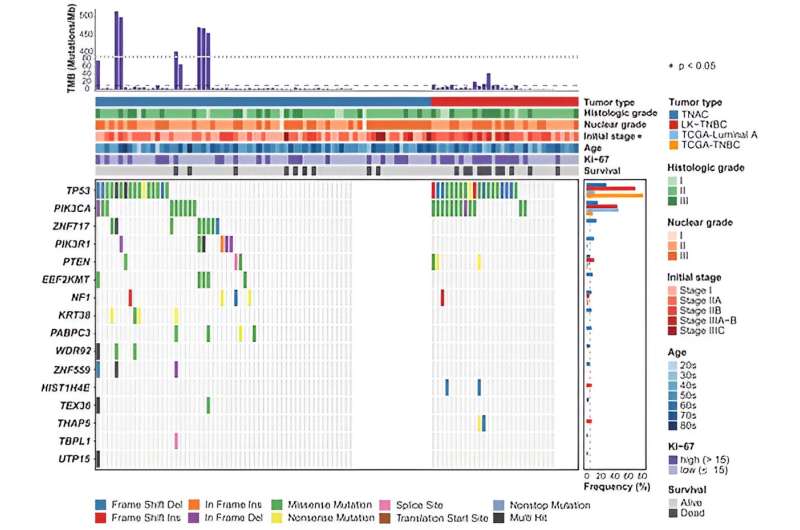 Research unveils genetic characteristics and improved prognosis of triple negative apocrine carcinoma