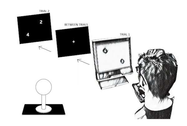 Counting from left to right feels ‘natural’ – but new research shows our brains count faster from bottom to top