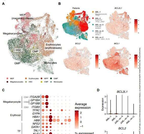 New promising targeted drug for a rare leukemia