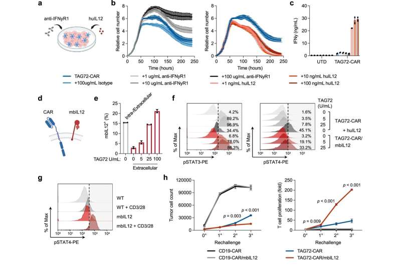 A CAR T cell therapy for advanced ovarian cancer developed