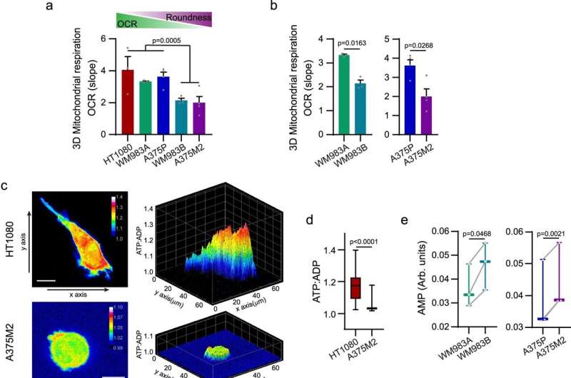 Skin cancer rewires its energy systems to spread more efficiently