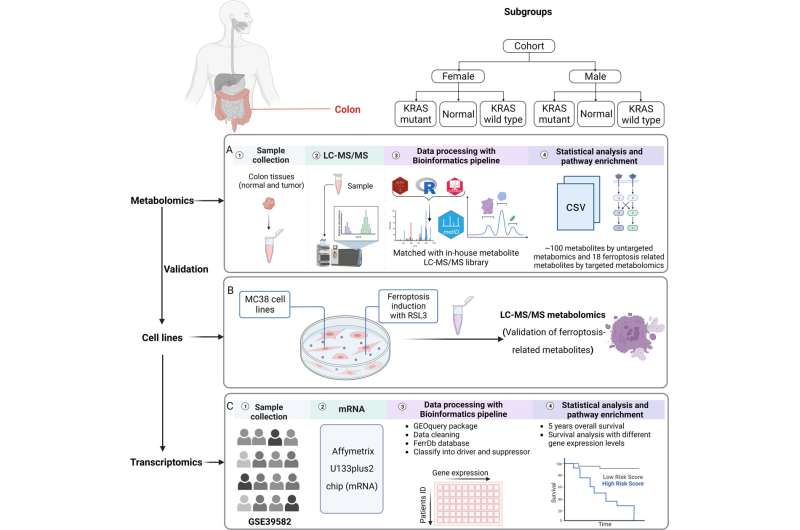 Study reveals potential target for precision colorectal cancer treatment