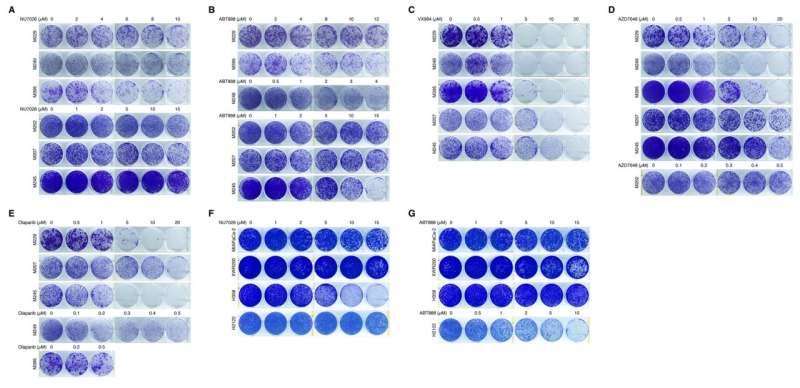 Researchers identify possible approach to prevent cancer from evolving to resist treatment