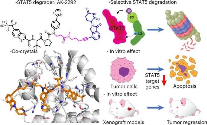 Researchers use a new approach to hit an ‘undruggable’ target