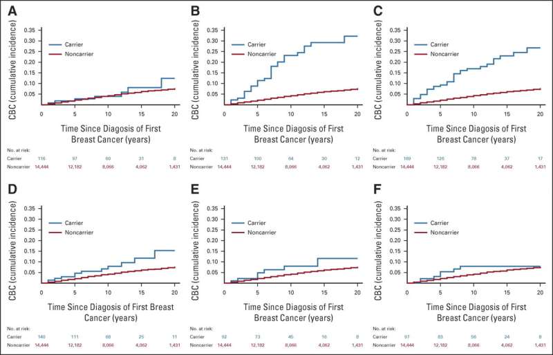 Mayo Clinic researchers identify women with twice the risk of cancer in both breasts