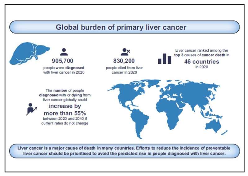 Liver cancer cases and deaths projected to rise by more than 55% by 2040