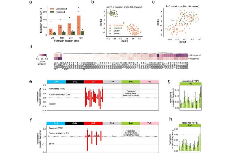 Researchers use machine learning to unlock the genomic code in clinical cancer samples