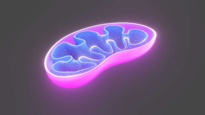 New mitochondrial disease identified in identical twins