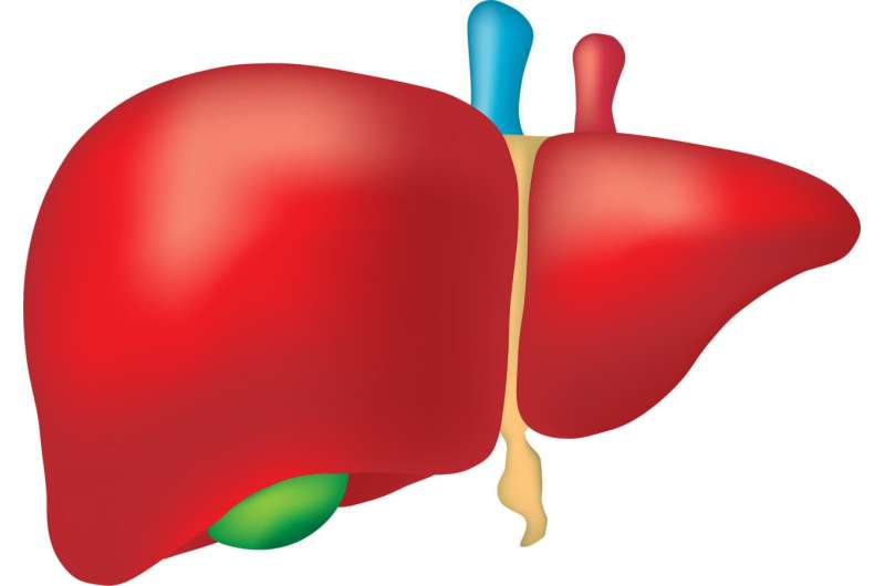 New analysis of trial of semaglutide in adolescents shows it can reduce liver enzymes indicative of liver damage