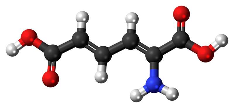 metabolism