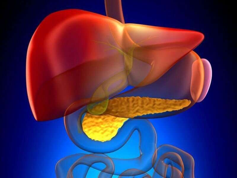 Prevalence of primary sclerosing cholangitis in IBD examined