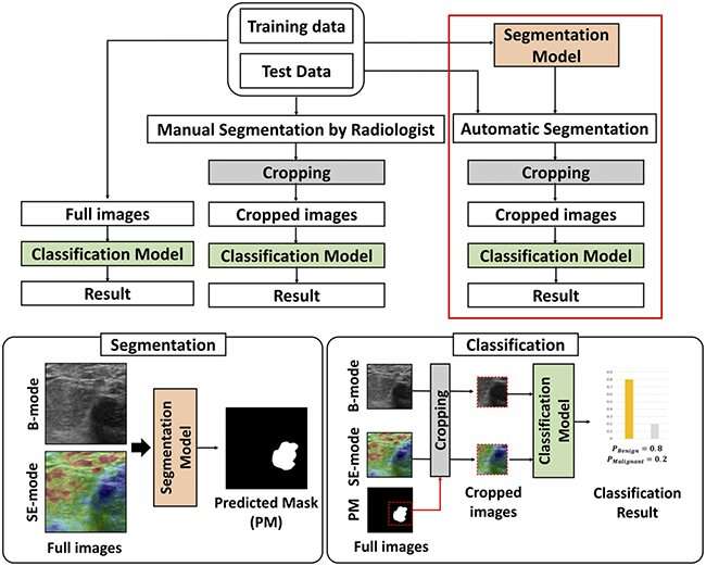 AI-powered ultrasound imaging that detects breast cancer