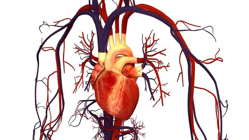 New clinical trial to improve recovery of children undergoing heart surgery 