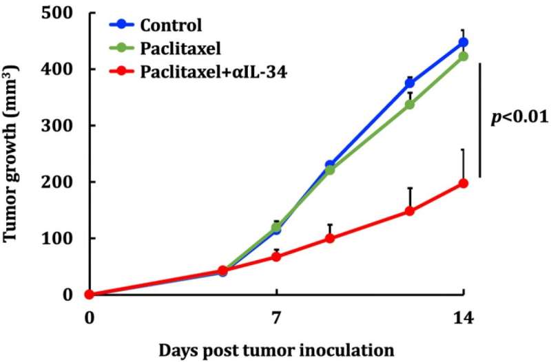 Root of triple negative breast cancer immunosuppression and chemoresistance revealed