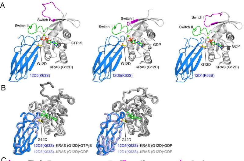 Researchers target mutation that leads to pancreatic cancer 