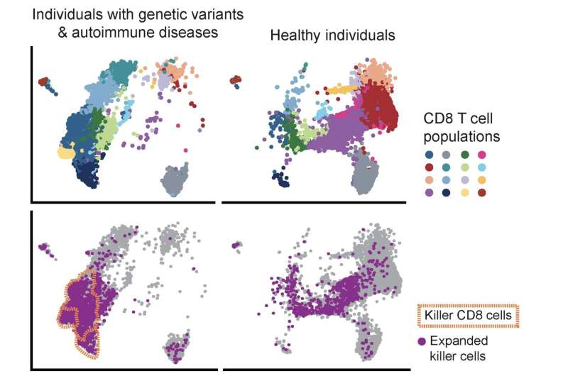 Rogue immune cells linked to leukemia are a key driver of autoimmune diseases