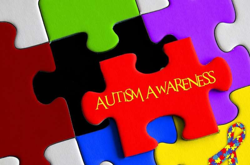 Experts set out future of autism care and treatment with focus on personalised and lifelong approaches 