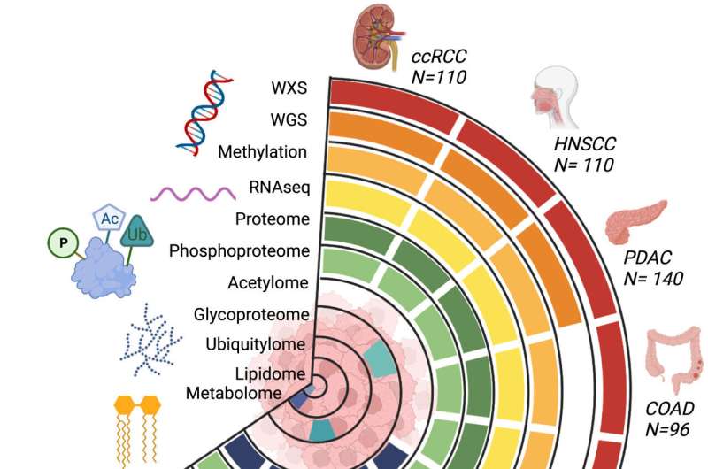 NIH unveils comprehensive proteogenomic dataset to help cancer researchers unravel molecular mysteries