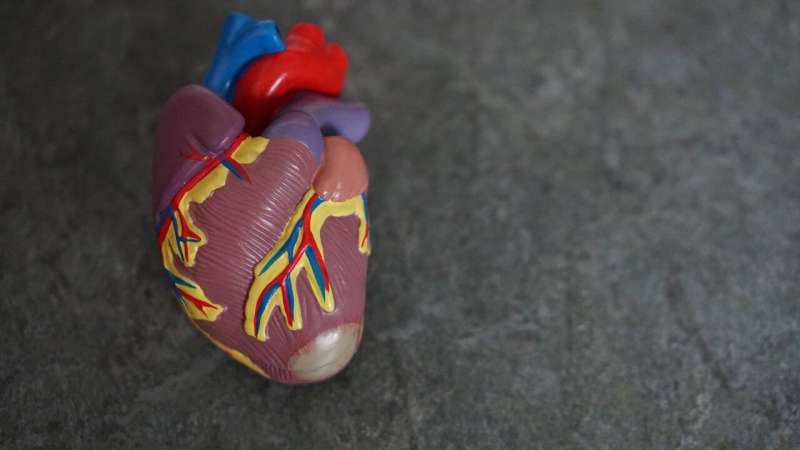 Scientists find additional molecular miscues in a genetic heart disorder that primarily afflicts young people 