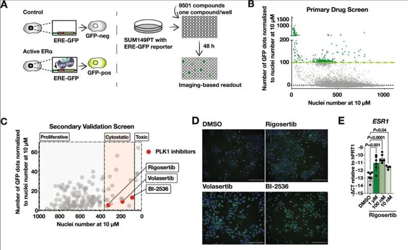 Researchers turn cancer cells into less harmful cell types