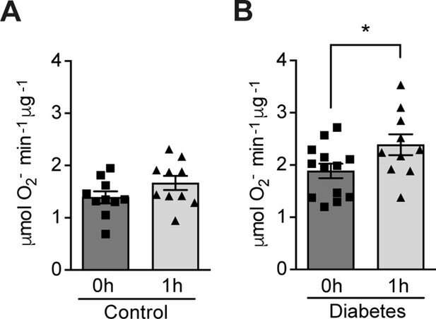 Study identifies potential new approach for treating diabetes complications