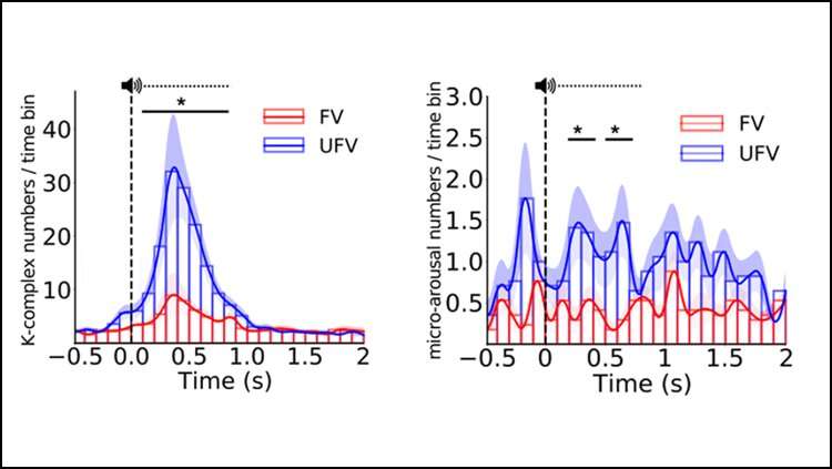 The brain pays attention to unfamiliar voices during sleep