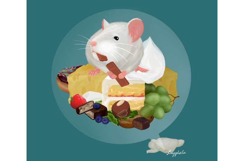 How tasty is the food? New insights on how the brain regulates feeding behavior