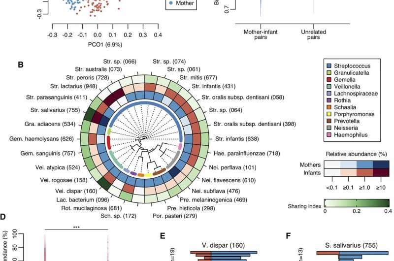 Feeding mode of newborns could influence oral bacteria makeup