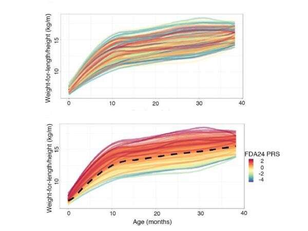 New approach can help identify young children most at risk for obesity 